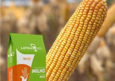MILHO LAS 330 CONVENCIONAL
