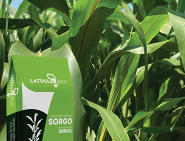 SORGO FORRAGEIRO LAS 7502 BMR