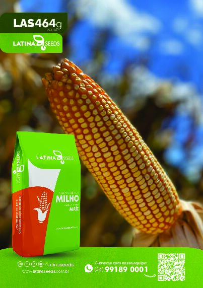 MILHO LAS 464