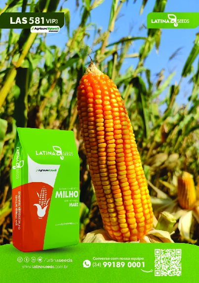 MILHO LAS 581 VIPTERA 3