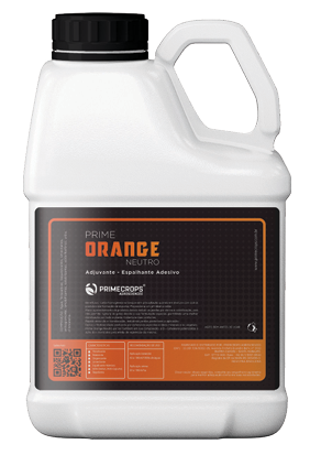 Prime orange neutro