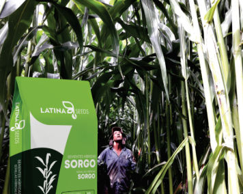 SORGO GIGANTE LAS 002E