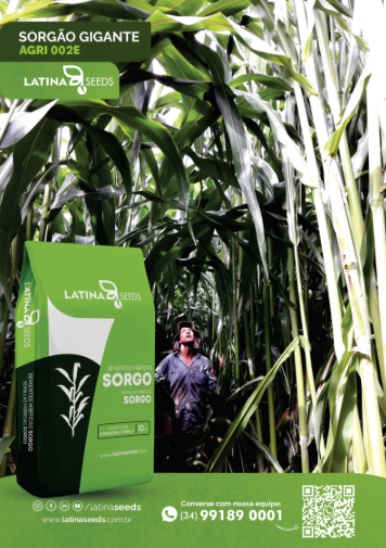 SORGO GIGANTE AGRI 002