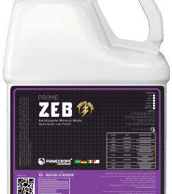 PRIME ZEB