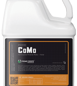 PRIME COMO