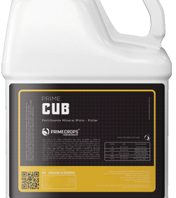 PRIME CUB