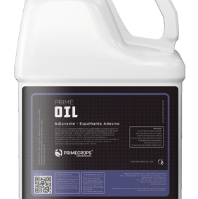 PRIME OIL