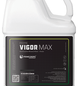 PRIME VIGOR MAX