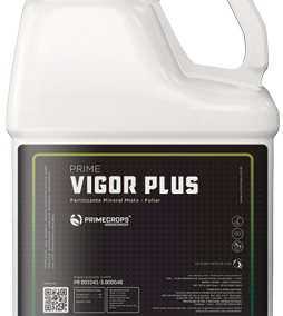 PRIME VIGOR PLUS
