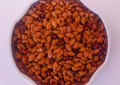 CROTALARIA BREVIFLORA