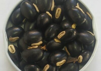 MUCUNA PRETA