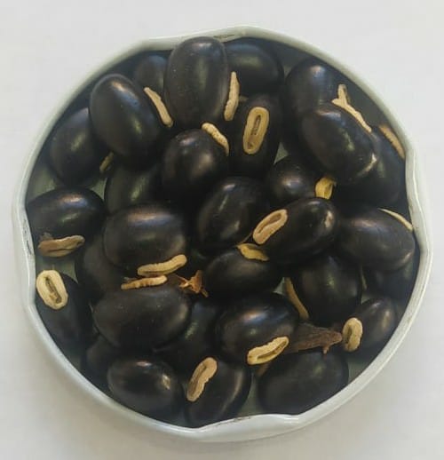 WhatsApp Image 2025-06-12 at 14.16.18